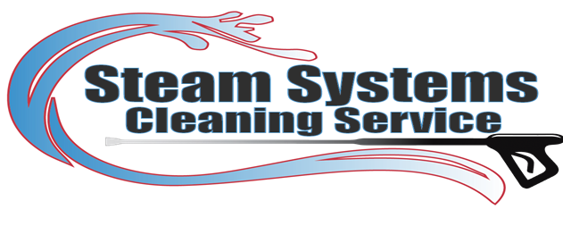 Steam Systems Cleaning Service