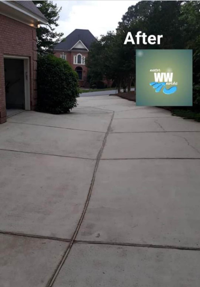 Water World Pressure Washing & More, LLC